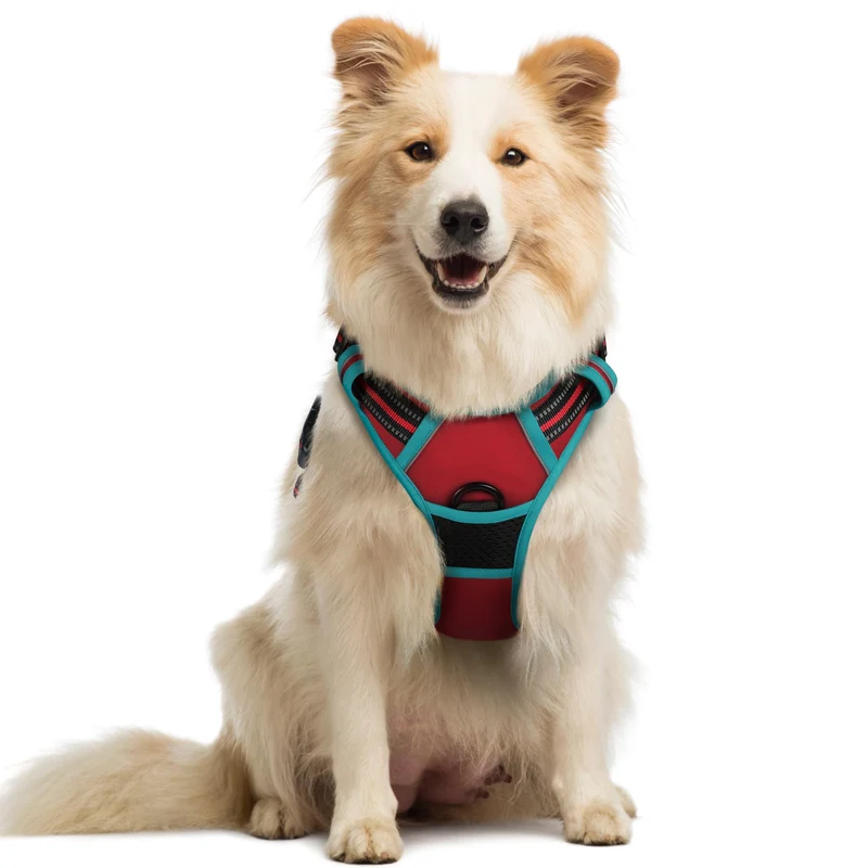 rabbitgoo Harnais pour Chien Moyen Sans Tir – 2 Attaches, Rembourrage Doux, Poignée de Contrôle, Rouge et Teal, Taille M