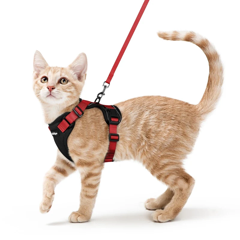 Rabbitgoo Harnais Chat Anti-Fuite et Laisse – Confort Respirant et Réfléchi (XS)
