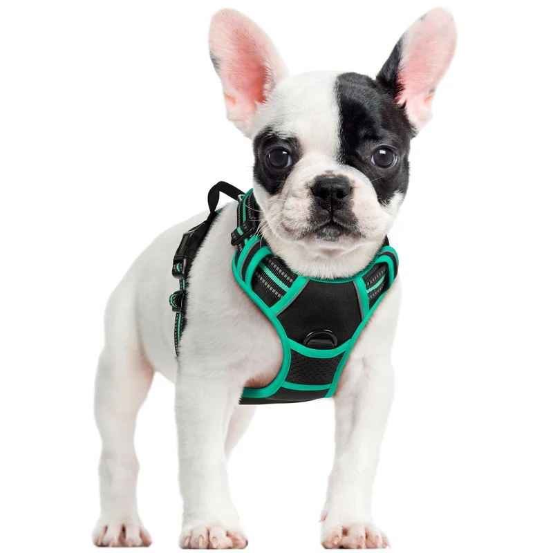 rabbitgoo Harnais Chien Sans Tir – 2 Attaches, Réglable, Bandes Réfléchissantes – Pour Petits Chiens (Noir Turquoise) – Taille S