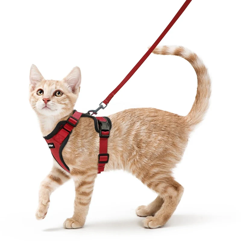 Rabbitgoo Harnais et Laisse pour Chat – Confort Respirant et Anti-Évasion, XS Rouge