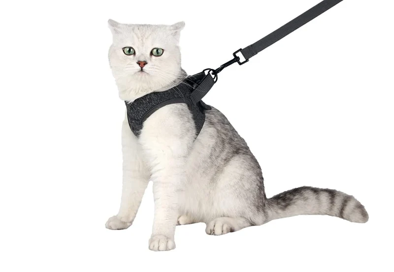 HEYWEAN Harnais et Laisse pour Chat — Ultra Léger, Anti-Fuite, Confort Doux | Tailles S, M, L