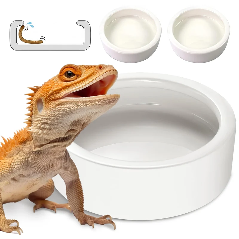 HELIME Bol à vers pour reptiles – Lot de 2 Bols en céramique anti-fuite