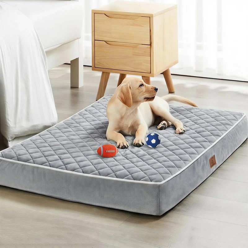 WNPETHOME Lit Chien Orthopédique 30x20x3, Imperméable, Housse Lavable et Couture Multi-Aiguille