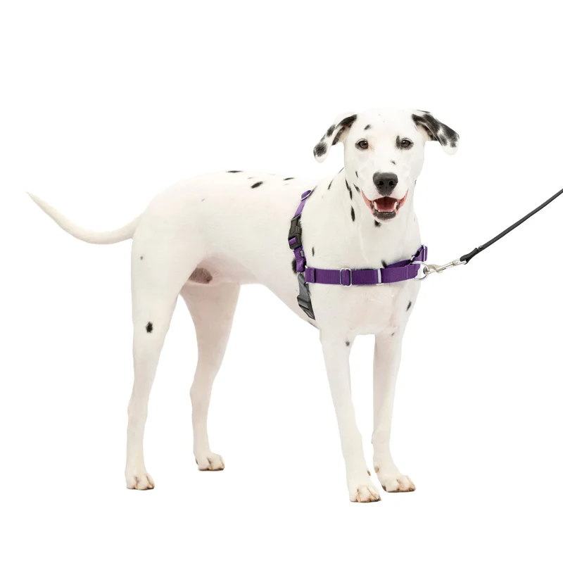 PetSafe Easy Walk Harnais pour Chiens – Pas de Tirage, Attache Devant, Boucle Martingale – Taille Moyenne/Large – Violet Profond et Noir