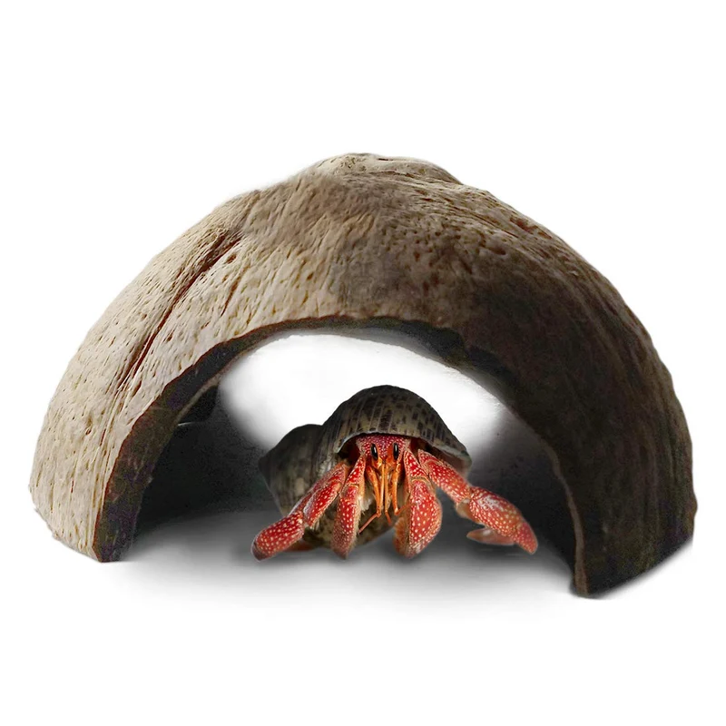 SunGrow Hutte Coco Crabe Hermite – Habitat Spacieux et Refuge-Tunnel