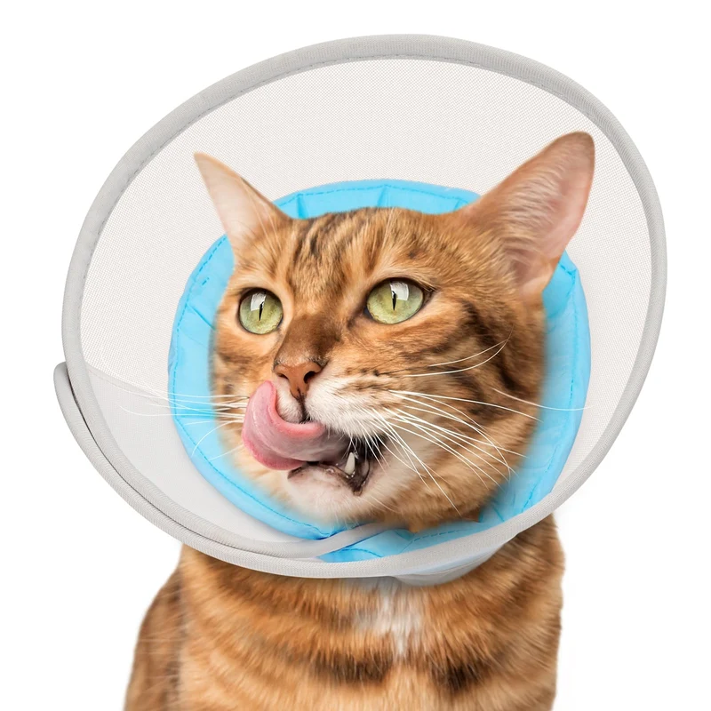 Joypig Collier-Cône Chat Soft Étanche — Confort et Protection Post-Chirurgie