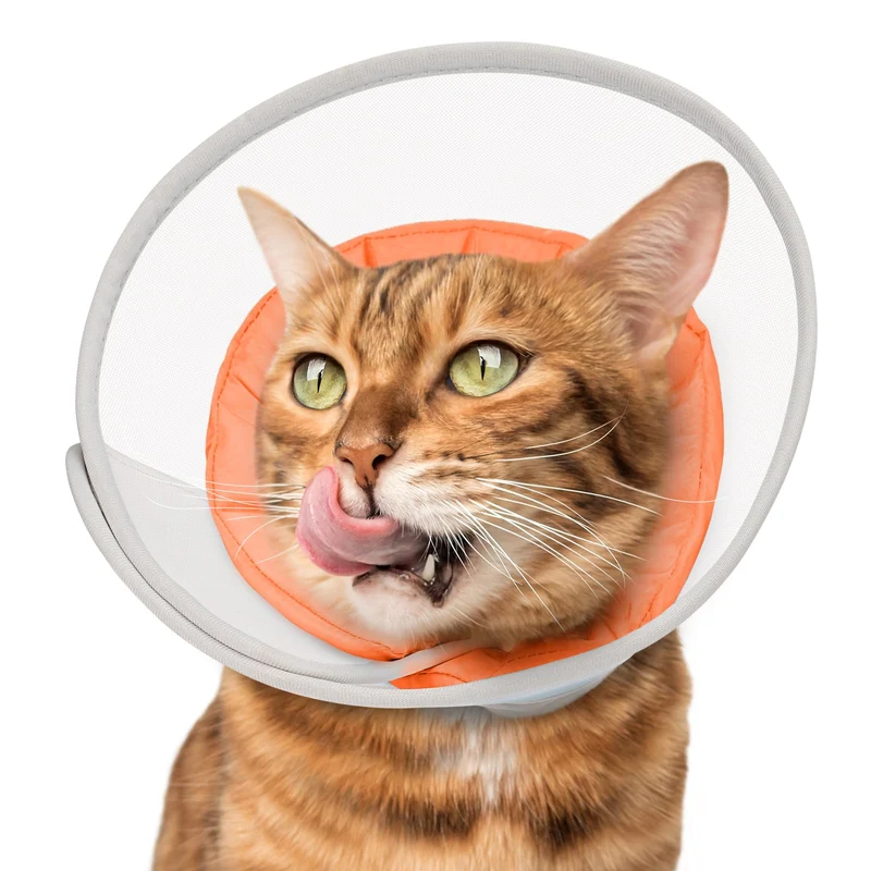 Joypig Collier Conique Doux pour Chats — Mesh Imperméable de Recuperation