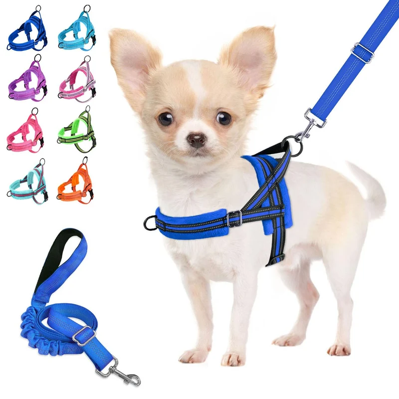 Harnais et Laisse Lukovee pour Petit Chien — Sans Tirage, Doux Rembourré et Ajustable (S, Bleu)