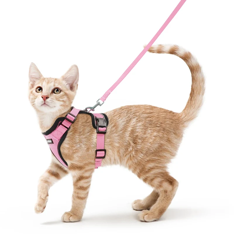 Rabbitgoo Harnais et Laisse pour Chat — Confort Respirant Anti Évasion et Bandes Réfléchissantes (Rose, S)