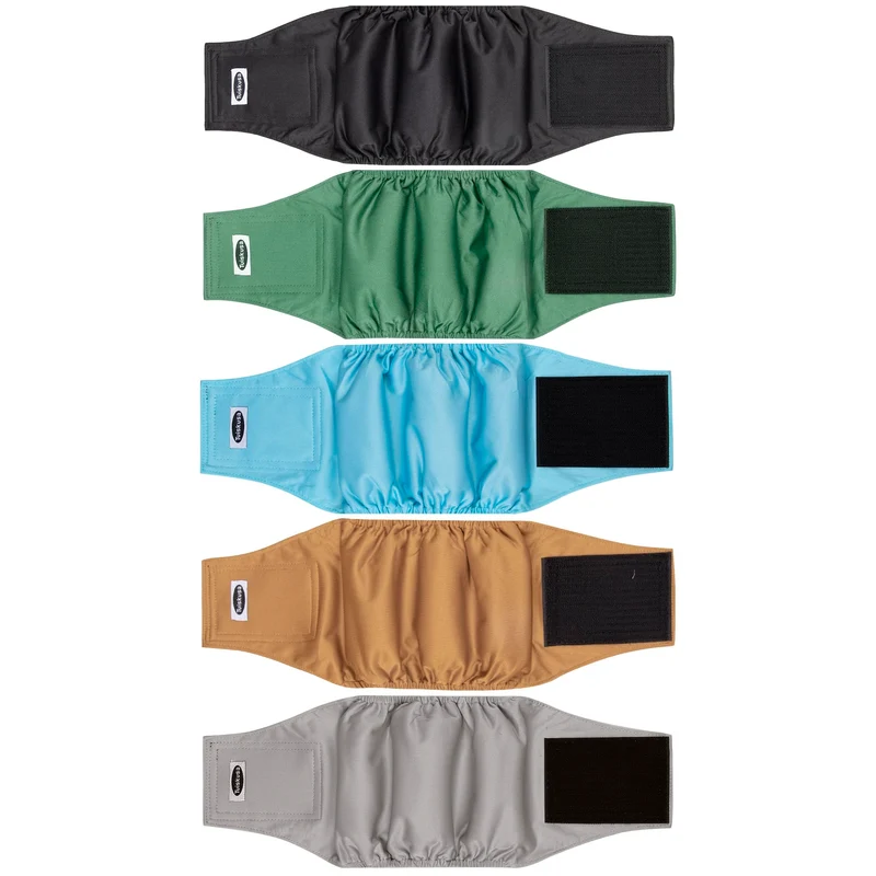 Tuiskusa Couches pour Chien Mâle – Absorbantes, Lavables et Réutilisables (Pack de 5)