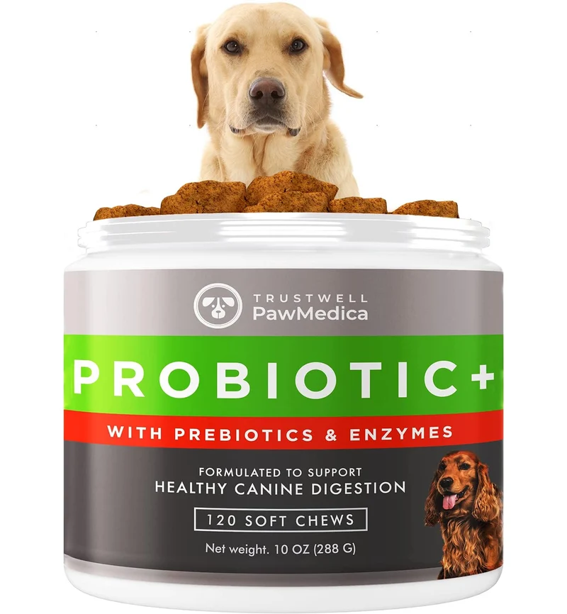 PawMedica Probiotiques pour Chiens – Bouchées Digestives Prébiotiques & Probiotiques, Fabriqué aux États‑Unis