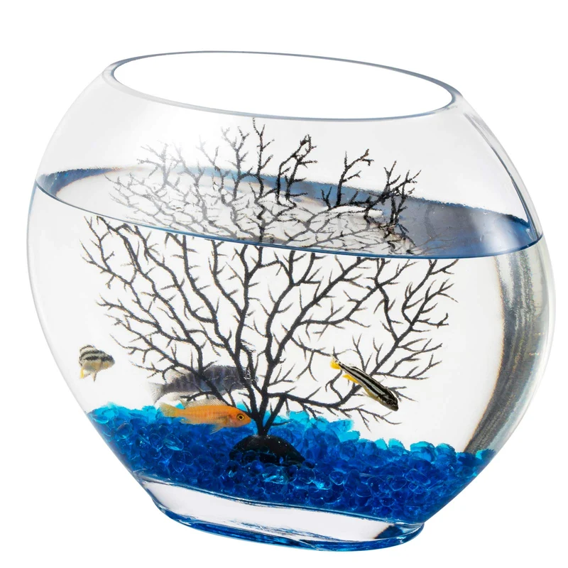 hygger Mini Bocal Oblate en Verre — Kit Aquarium Petit Modèle avec Pierres Bleues et Déco Branche-Arbre Plastique