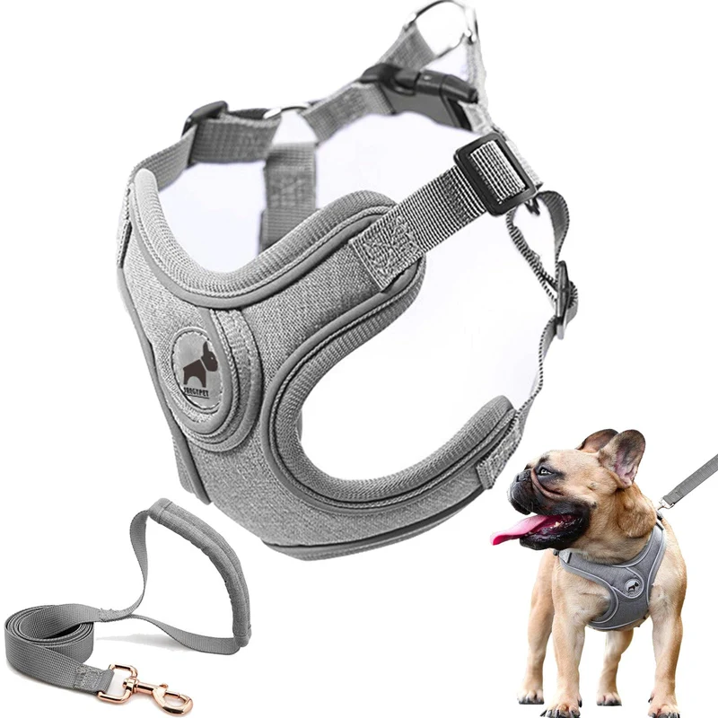 SAEGYPET Harnais et Laisse pour Chien Frenchie – Pas de Tirage, Respirant et Ajustable (M, Gris)