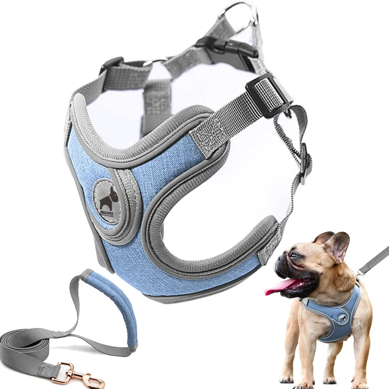 SAEGYPET Harnais et Laisse pour Chien – Ajustable et Respirant, Sans Traction | Taille M, Bleu