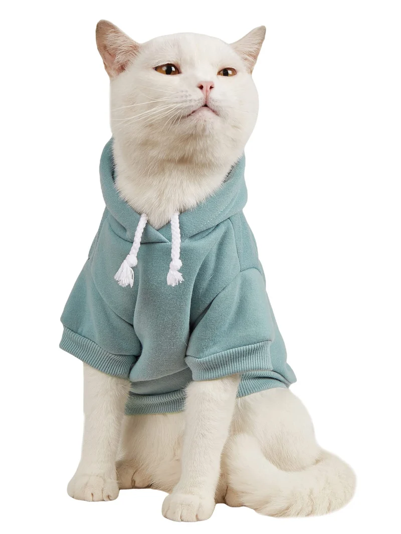 QWINEE Basic Hoodie pour chien et chat — Sweat à capuche chaud bleu cadet, taille M