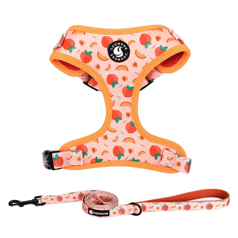 COOWONE Harnais et Laisse pour Chien – Réglable, Sans Tirage, Promenades et Dressage (Petits et Moyens)