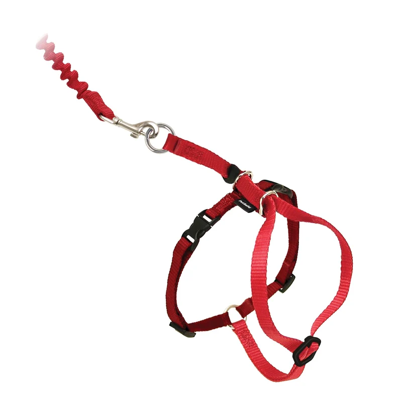 PetSafe Harnais Come With Me Kitty pour Chat et Laisse Élastique – Confort et Sécurité Extérieur – Taille Large – Rouge