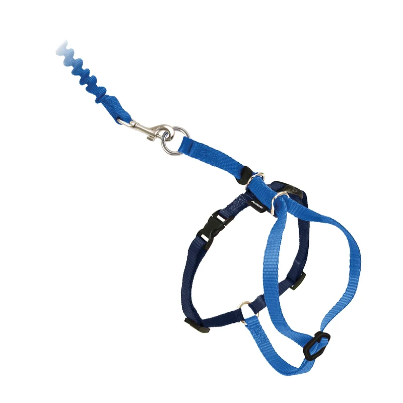 PetSafe Harnais Come With Me pour Chat et Lien Elastique – Grand Bleu Royal