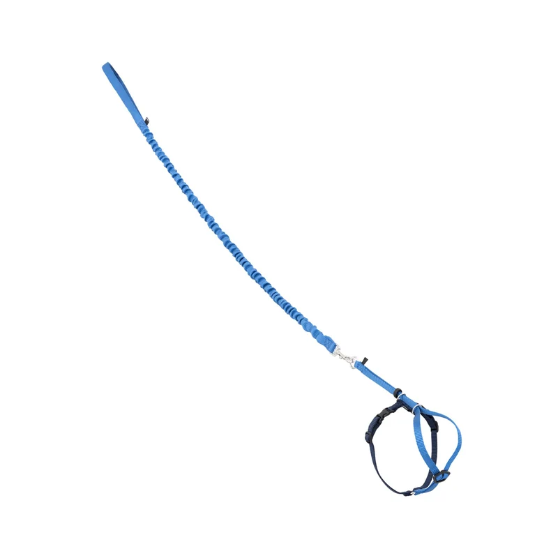 PetSafe Harnais pour Chat et Laisse Élastique – Confort, Sécurité et Liberté (Taille Moyenne, Bleu Royal)