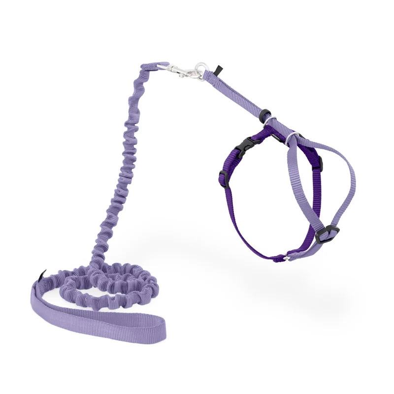 PetSafe Harnais Chat Come With Me Kitty et Laisse Bungee – Lilas, Confort et Sécurité (Petit)