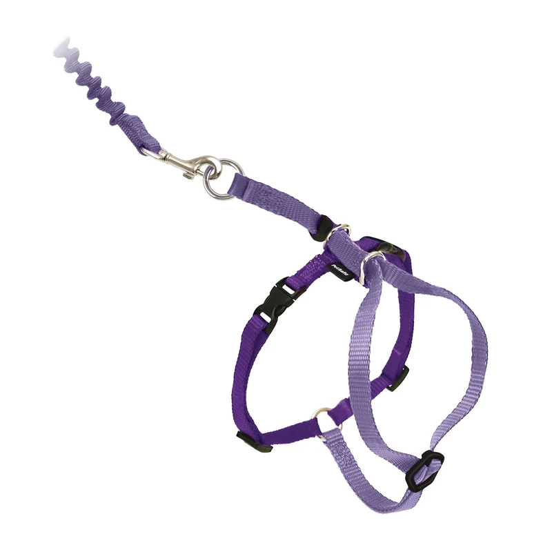 PetSafe Harnais Chat Come With Me et Longe Bungee – Confort, Sécurité et Contrôle – Taille Large Lilas