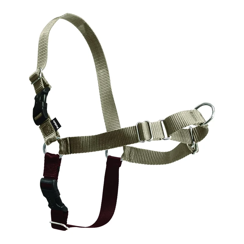 PetSafe Easy Walk Harnais pour Chien – Pas de Tirage, Attache Poitrine Frontale, Confort Respirant – Grand Fauve/Brun
