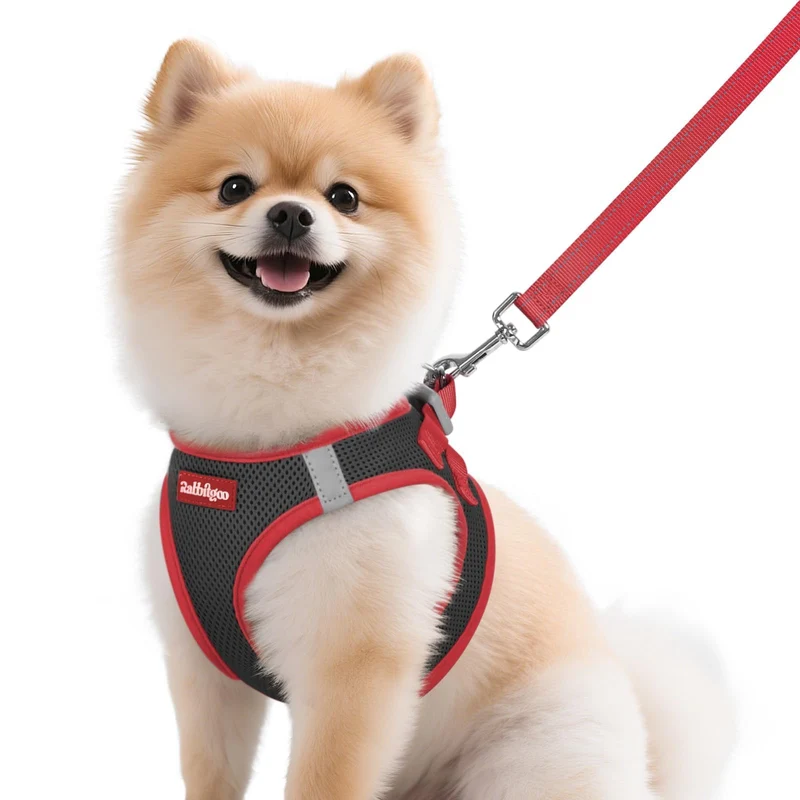 rabbitgoo Harnais chien enfiler M — Aéré, réfléchissant, Longe 5 m Noir & Rouge