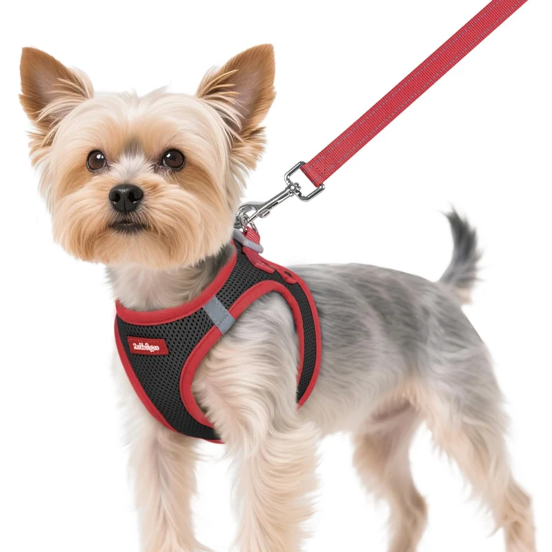 rabbitgoo Harnais pour petit chien XS avec laisse assortie – Confort respirant et sécurité