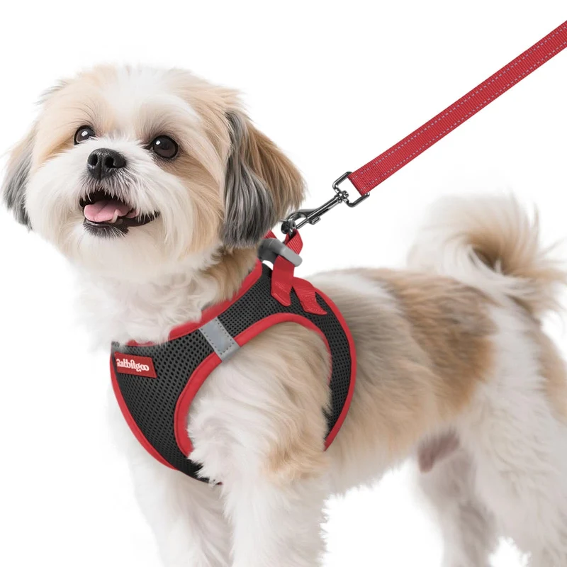 Rabbitgoo Harnais pour chien Taille S avec Laisse – Enfiler, Respirant et Réfléchissant (Noir & Rouge)