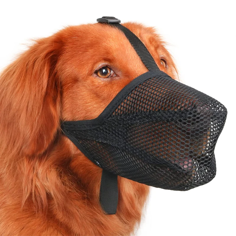 Masque pour Chien Mayerzon – Maillage Doux XL Noir, Respirant et Léger