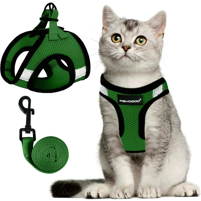 Harnais et Laisse Fayogoo pour Chats et Petits Chiens – Anti-Évasion, Neon Vert, Tailles S-XXL