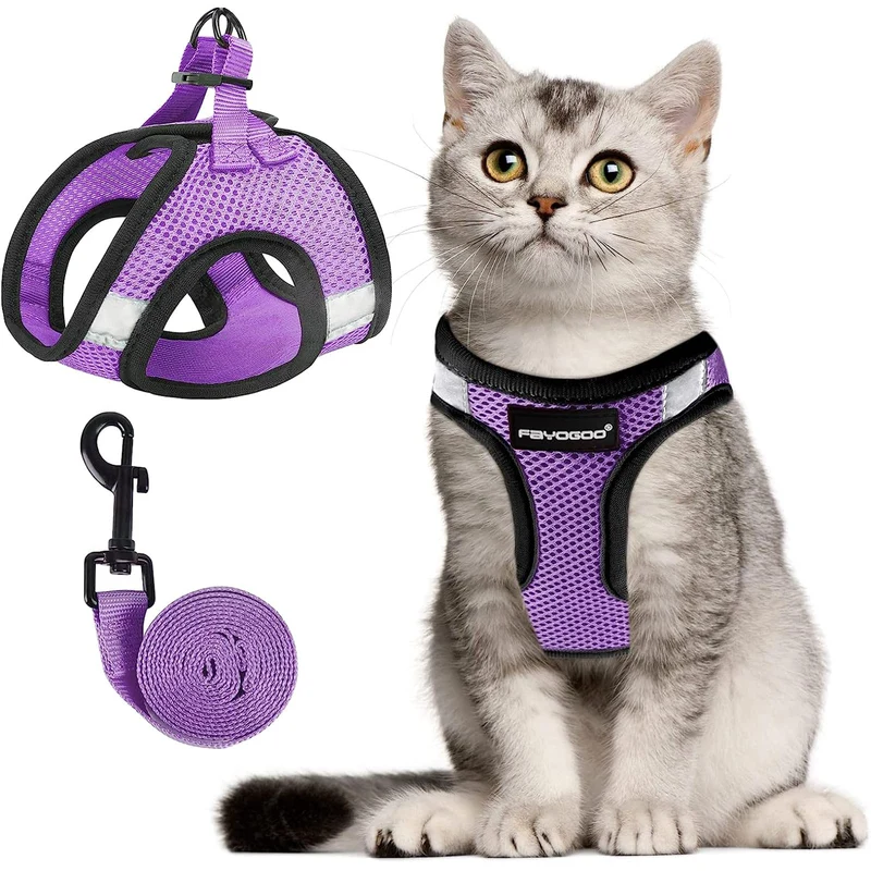 FAYOGOO Harnais et Laisse pour Chat — Anti-Fuite, Tailles S-XXL, Violet Moderne