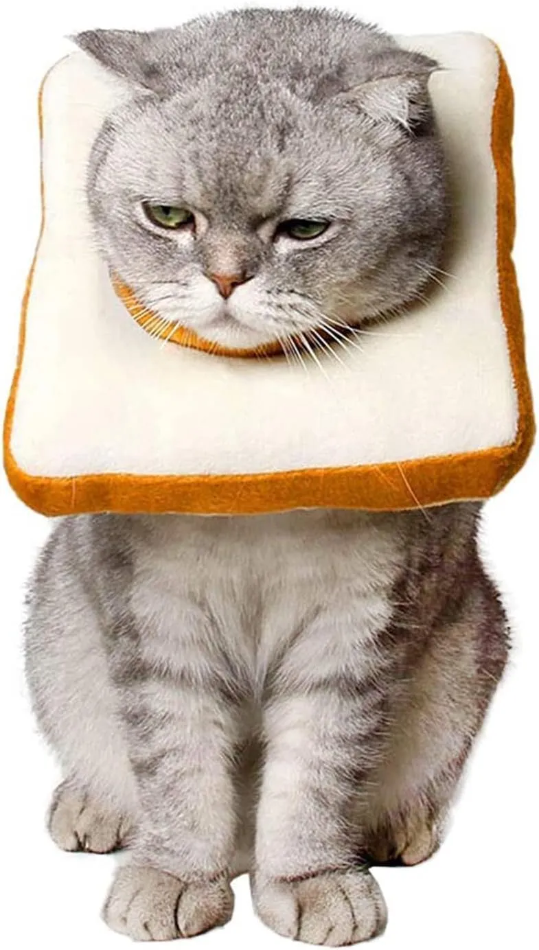 Amakunft Collier de récupération pour chat — Ajustable, doux et confortable (post-chirurgie)