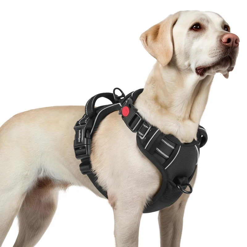 Rabbitgoo Harnais Chien Grand – Anti-Tirage, 3 Boucles, Poignée, Réfléchissant, Noir (Taille L)
