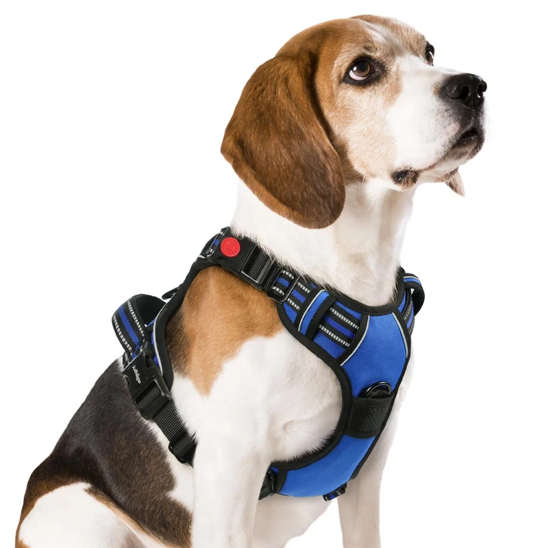 Harnais Rabbitgoo pour chien moyen – sans traction, 3 boucles, poignée de contrôle et bandes réfléchissantes, bleu M