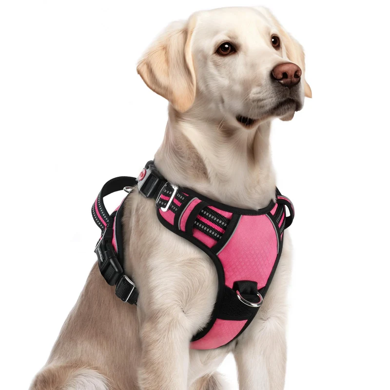Rabbitgoo Harnais Chien Grand Rose – Sans Tirage, 3 Boucles, Poignée Haute, Bandes Réfléchissantes, Taille L