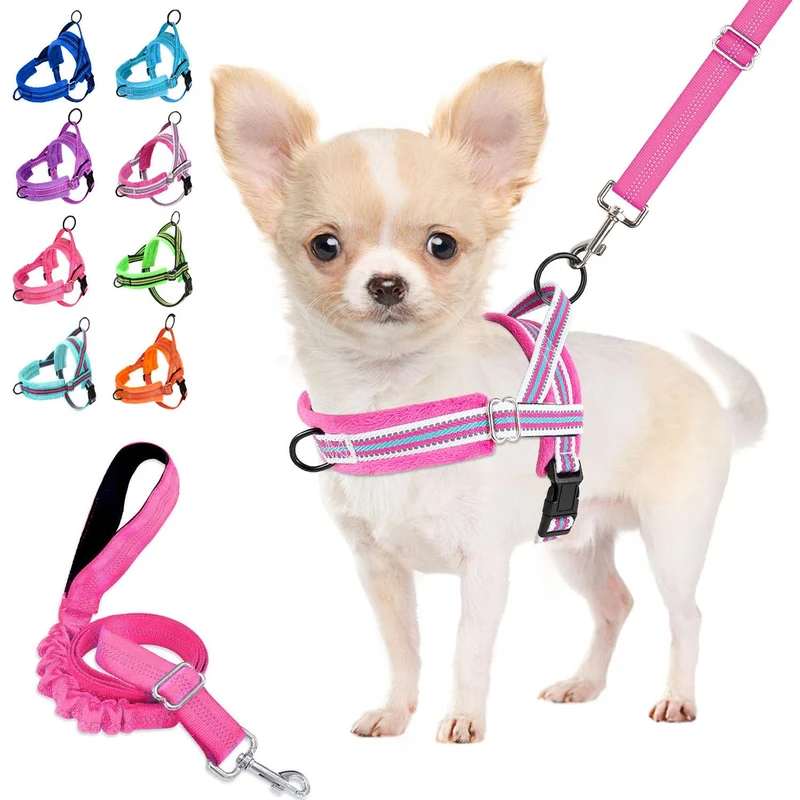 Harnais et Laisse Lukovee Anti-Tirage pour Petit Chien – Doux Rembourré, Réglable Cou/Poitrine, Reflectif (XS, Fuchsia)
