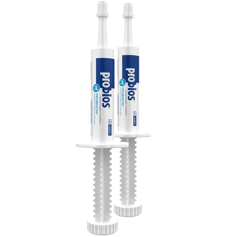 Probios Probiocin Gel oral pour chiens et chats – Probiotiques digestifs et immunité, 15 g x 2