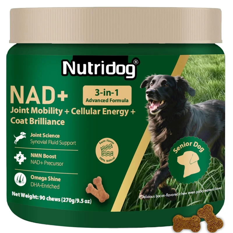 Nutridog NMN – Supplément NAD+ pour Chiens | Anti-âge & Énergie Cellulaire
