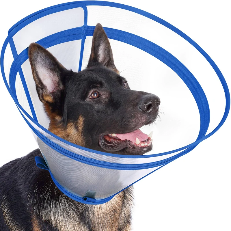 Didopet Collier de Récupération Transparent XXL pour Chiens – Colerette avec Zip Détachable