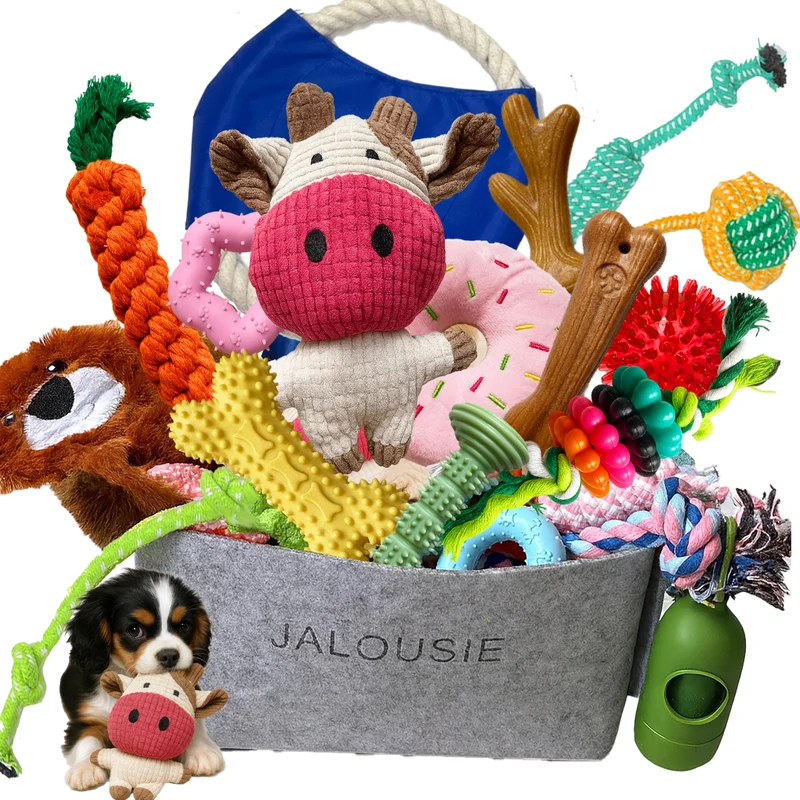 Jalousie Lot Multi-Jouets Chiens (30 Pièces) – Jouets Plush qui Couinent pour Chiots et Petites/Moyennes Races