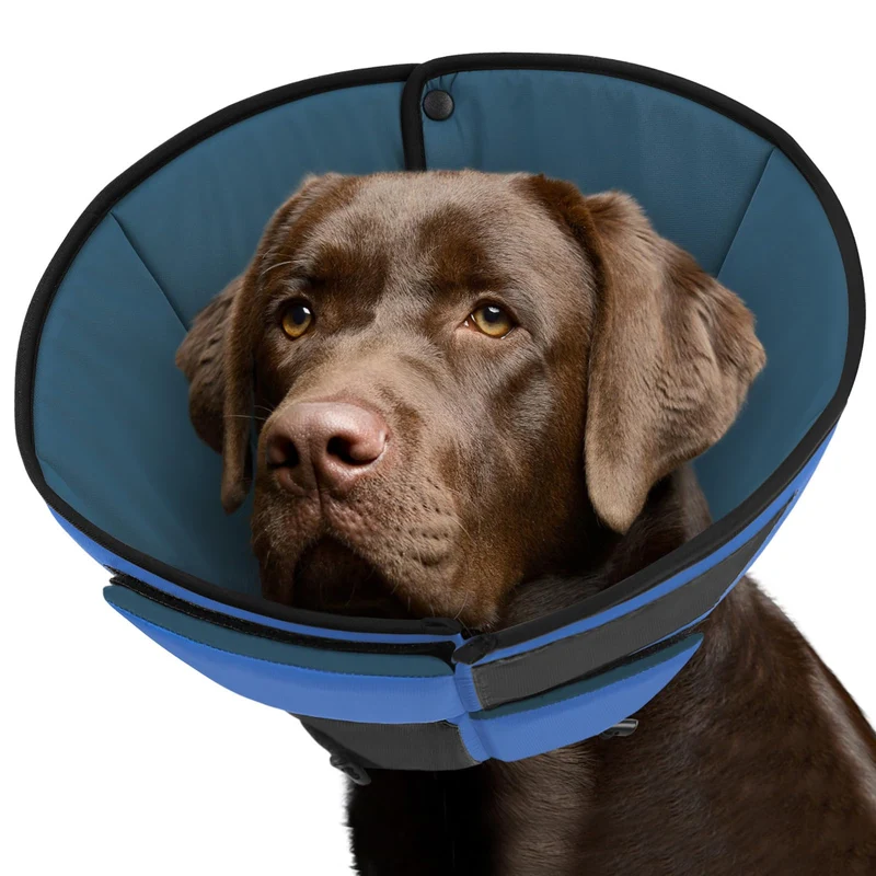 Queenmore Cône Doux pour Chiens Grands — Collier Élizabethan Bleu L