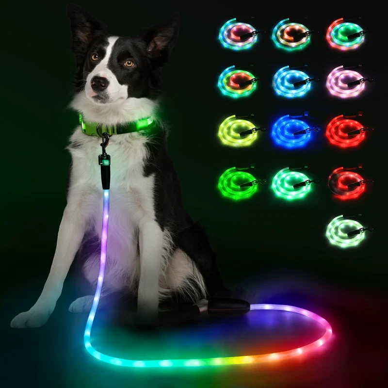 YFbrite Laisse pour Chien Lumineuse 6 pieds – 15 Modes LED, Recharge Type-C