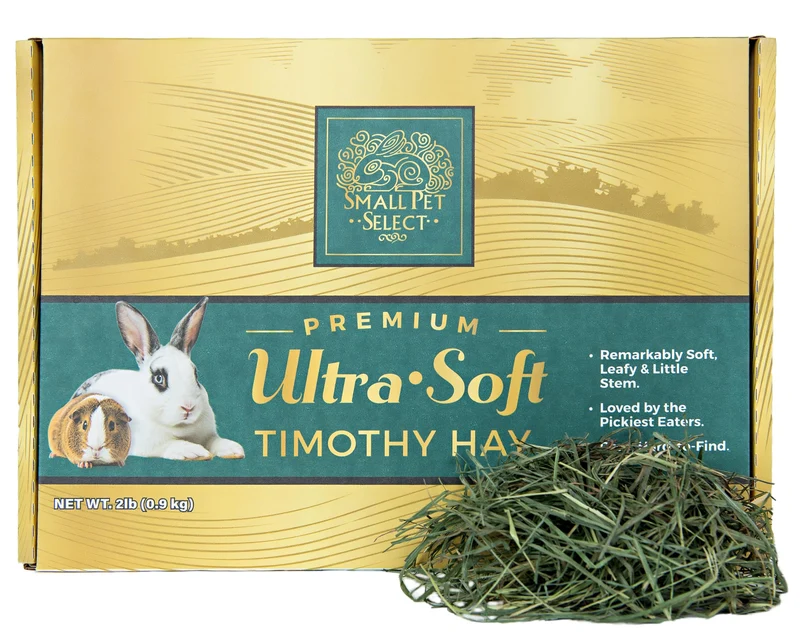 Small Pet Select - Foin Timothée Ultra-Doux Premium pour Lapins, Cochons d’Inde et Chinchillas – 2 lb (0,9 kg)