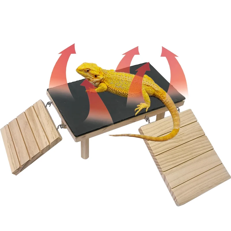 Gxsdj Plateforme de basking en bois pour dragon barbu – abri réptile avec ardoise chauffante