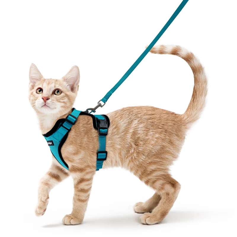 rabbitgoo Harnais et Laisse pour Chats – Anti-Évasion, Mesh Respirant Teal XS