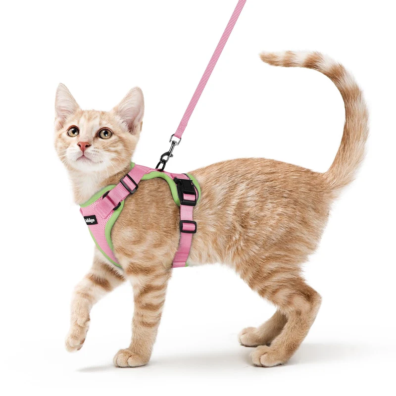 Rabbitgoo Harnais et Laisse pour Chat — Confort Respirant, Anti-Évasion, Bretelles Réglables, Rose/Vert Clair, Taille XS