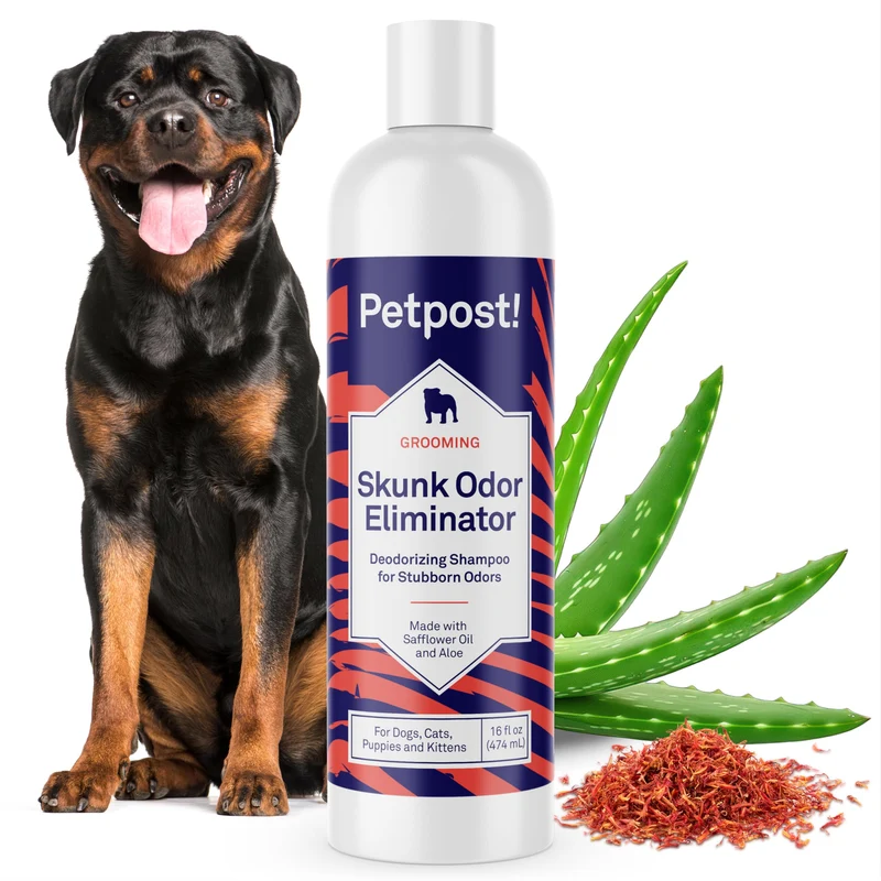 Petpost | Shampoing Éliminateur d'Odeurs de Mouffette pour Chiens et Chats – Doux et Puissant, 16 oz