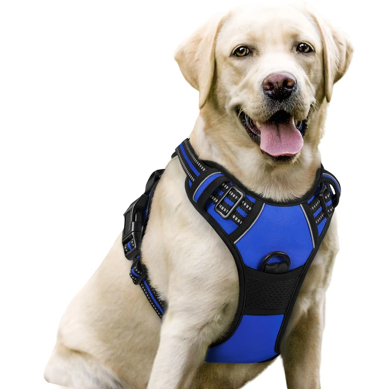 Rabbitgoo Harnais chien sans tirage – 2 attaches, rembourré et réfléchissant – Grand chien, bleu étincelant, taille L