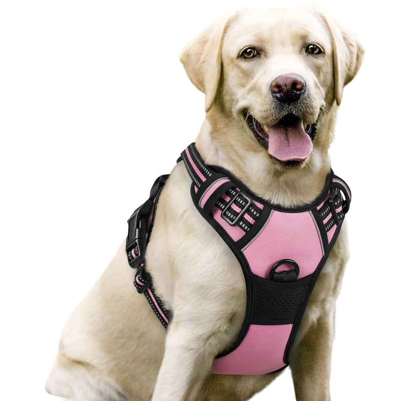 rabbitgoo Harnais Chien Sans Traction – 2 Attaches, Doublure Confort, Réfléchi, Poignée de Contrôle – Grand Chien Rose